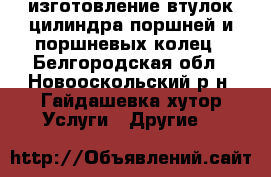 изготовление втулок цилиндра.поршней и поршневых колец - Белгородская обл., Новооскольский р-н, Гайдашевка хутор Услуги » Другие   